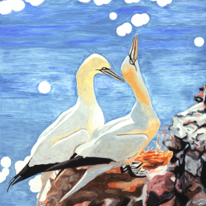 B1342-58 Portal NothernGannets c3s40